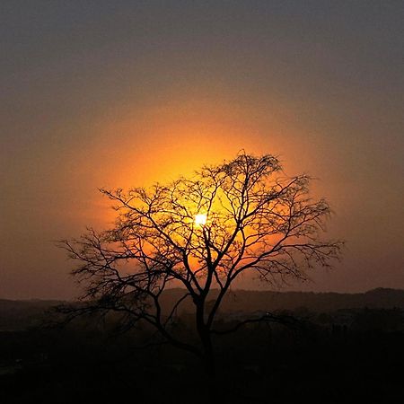 Gir Birding Lodge Sasan Gir Eksteriør bilde