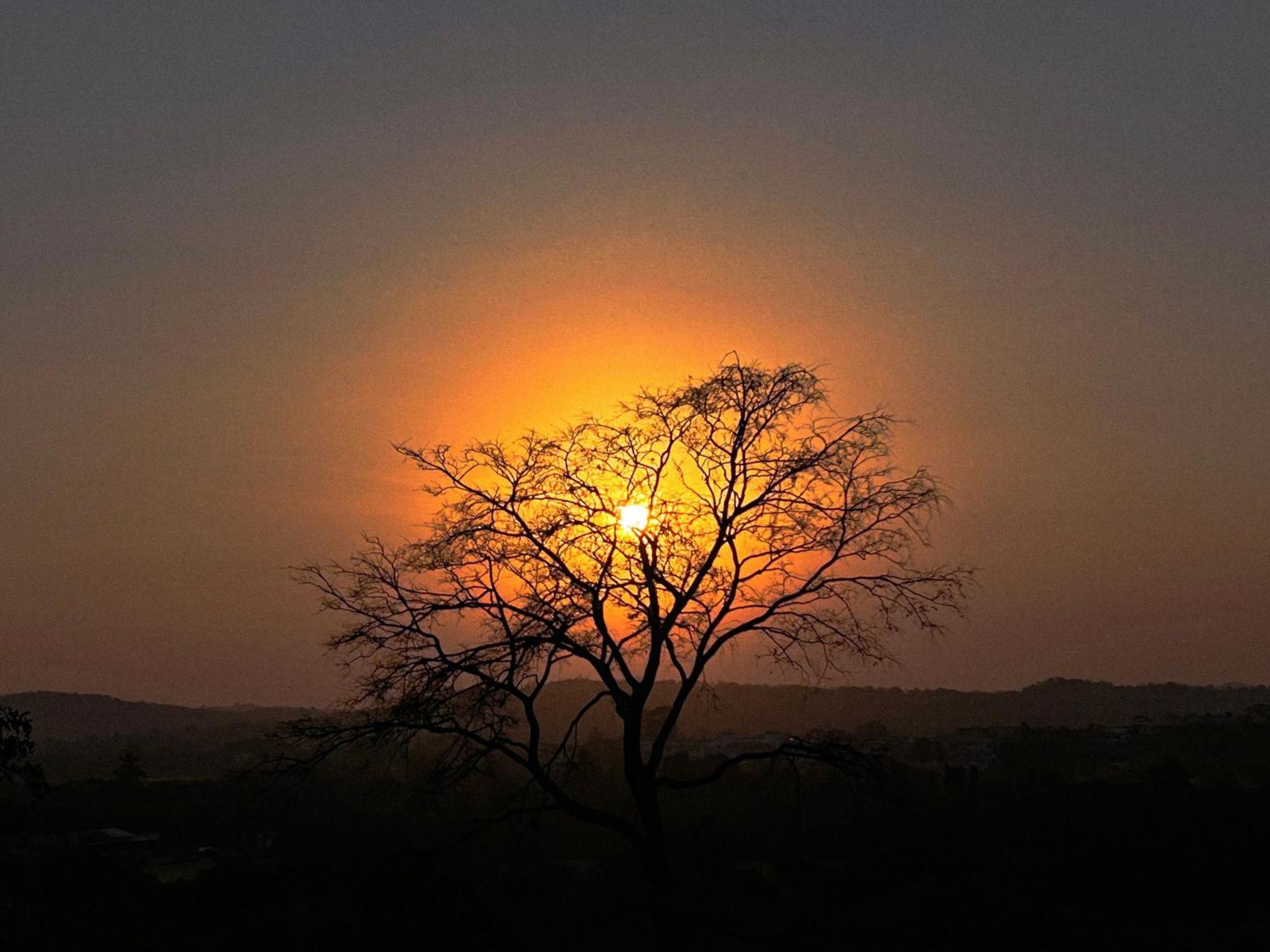 Gir Birding Lodge Sasan Gir Eksteriør bilde